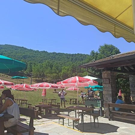 Appartamento Spazioso Con Terrazzo Di Proprieta Limone Piemonte Exterior foto